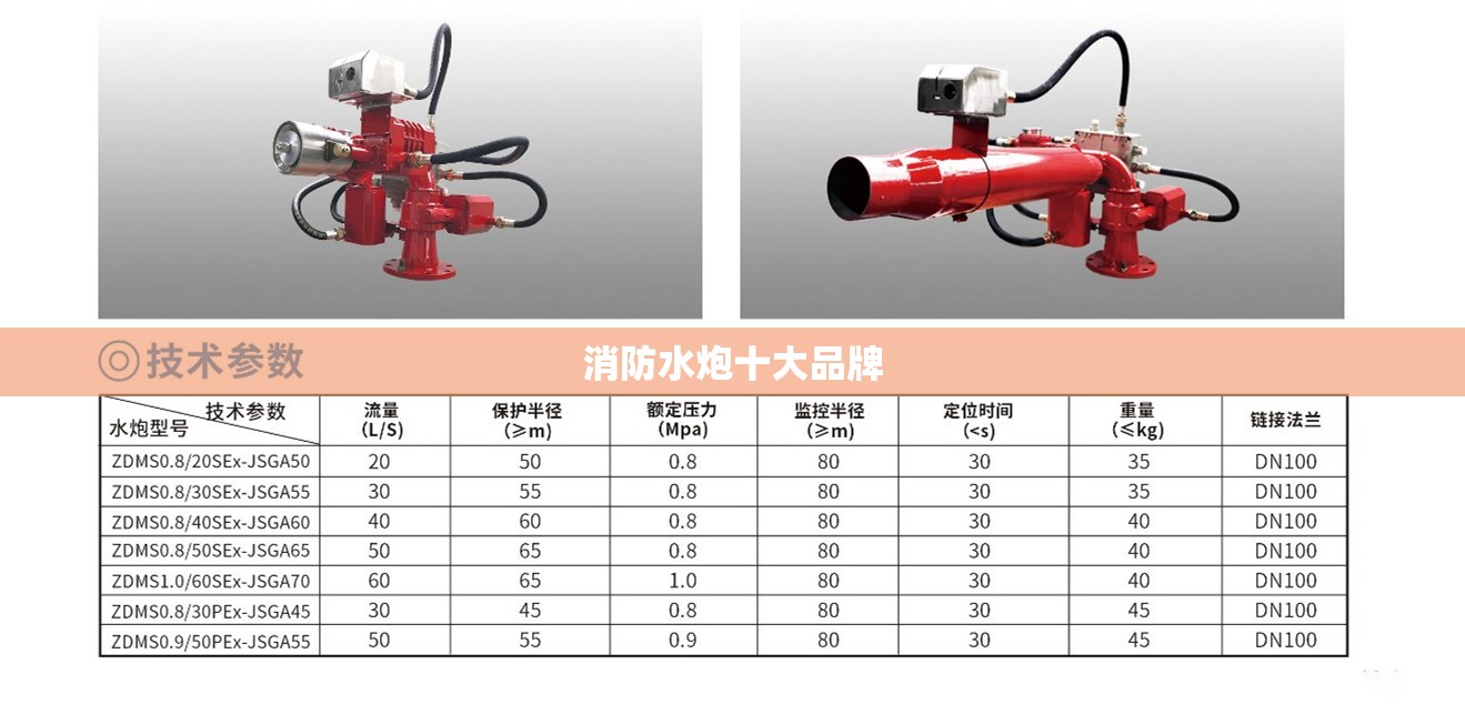 消防水炮前十品牌/消防水炮前十品牌排名