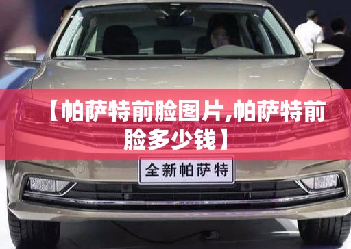 【帕萨特前脸图片,帕萨特前脸多少钱】