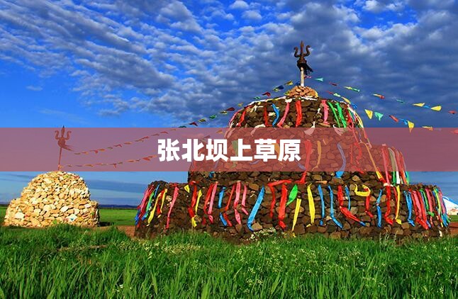 张北坝上草原/张北坝上草原简介