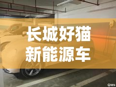 长城好猫新能源车型及费用/长城欧拉好猫纯电动汽车费用