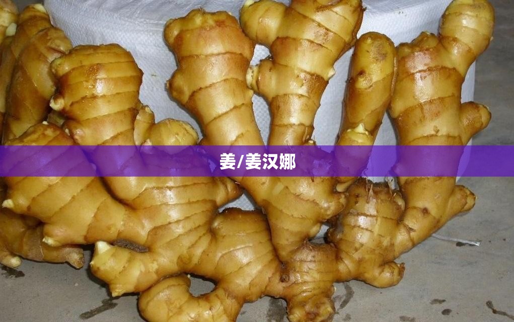 姜/姜汉娜 姜/姜汉娜