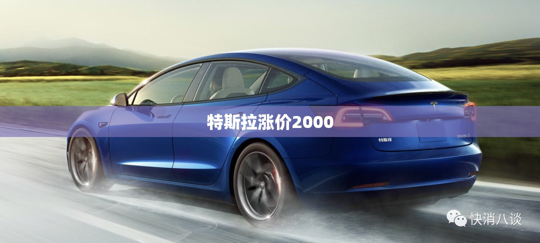 特斯拉涨价2000(特斯拉涨价会影响销售吗)