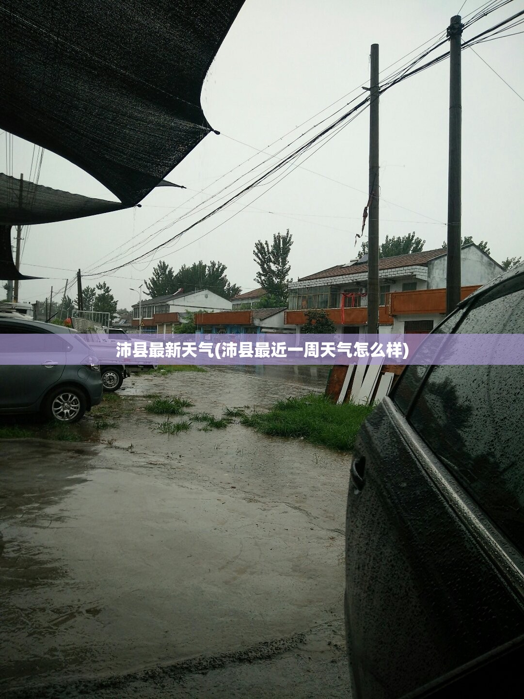 沛县最新天气(沛县最近一周天气怎么样) 沛县最新天气(沛县最近一周天气怎么样)