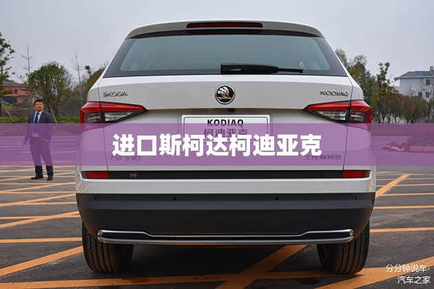 进口斯柯达柯迪亚克(斯柯达柯迪亚克进气管)
