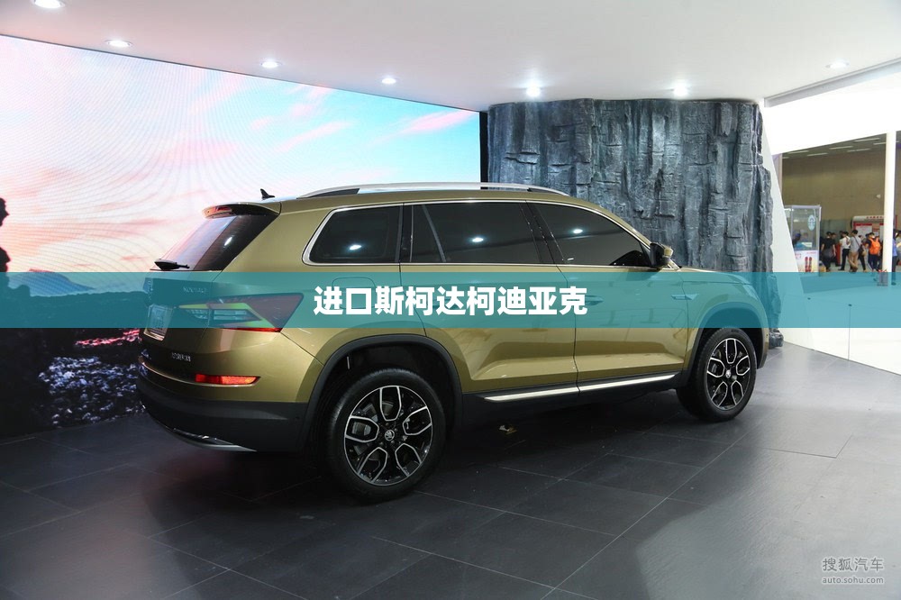 进口斯柯达柯迪亚克(斯柯达柯迪亚克进气管) 进口斯柯达柯迪亚克(斯柯达柯迪亚克进气管)