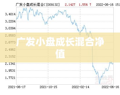 广发小盘成长混合净值/广发小盘成长混合净值历史走势 广发小盘成长混合净值/广发小盘成长混合净值历史走势