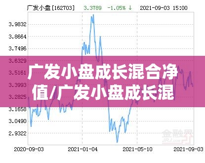广发小盘成长混合净值/广发小盘成长混合净值历史走势