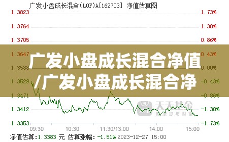 广发小盘成长混合净值/广发小盘成长混合净值历史走势 广发小盘成长混合净值/广发小盘成长混合净值历史走势