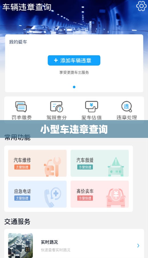 小型车违章查询(小型车违章查询系统)
