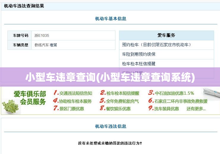 小型车违章查询(小型车违章查询系统)