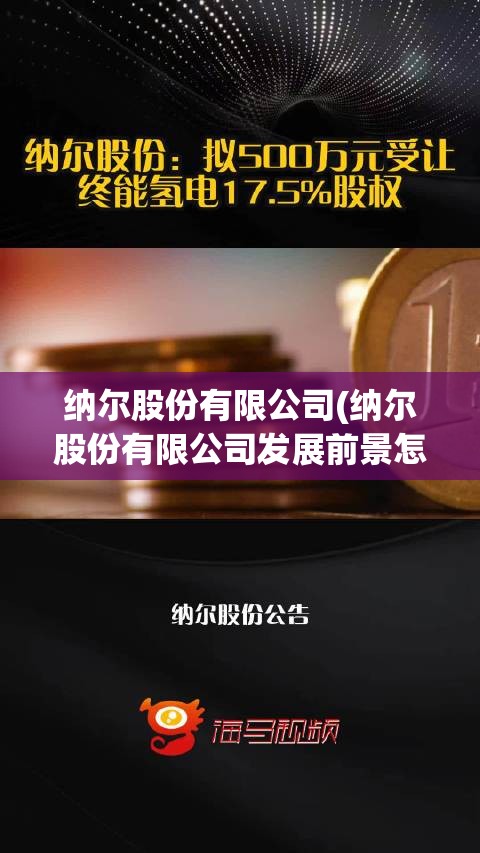 纳尔股份有限公司(纳尔股份有限公司发展前景怎样)