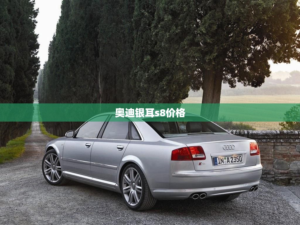 【奥迪银耳s8费用,奥迪银耳费用q7】