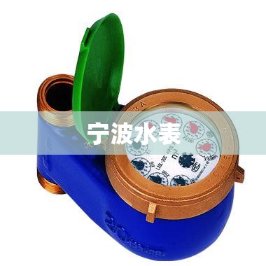 宁波水表(宁波水表图片)