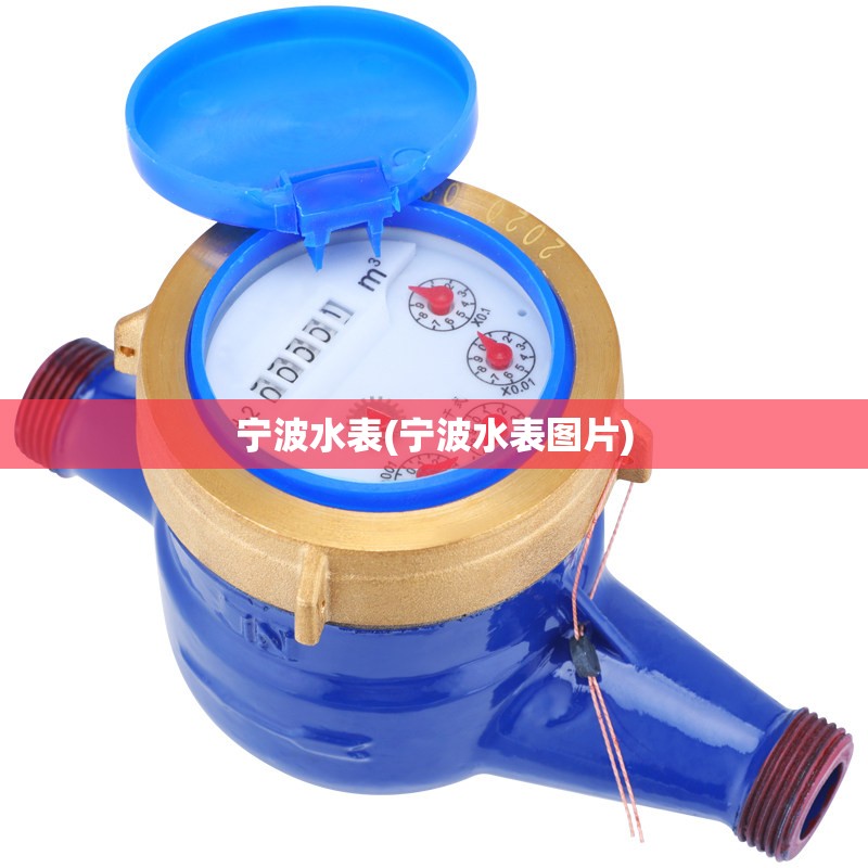 宁波水表(宁波水表图片) 宁波水表(宁波水表图片)