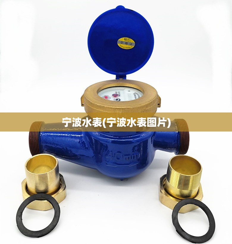 宁波水表(宁波水表图片) 宁波水表(宁波水表图片)