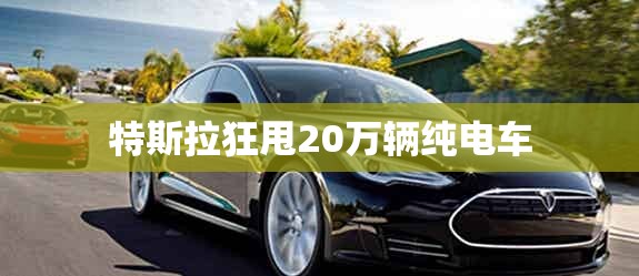 特斯拉狂甩20万辆纯电车(特斯拉拟两年内产量冲300万)