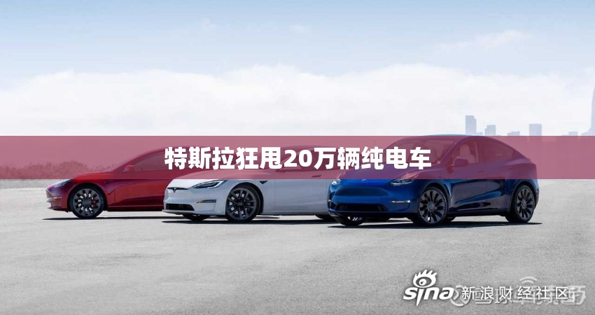 特斯拉狂甩20万辆纯电车(特斯拉拟两年内产量冲300万) 特斯拉狂甩20万辆纯电车(特斯拉拟两年内产量冲300万)