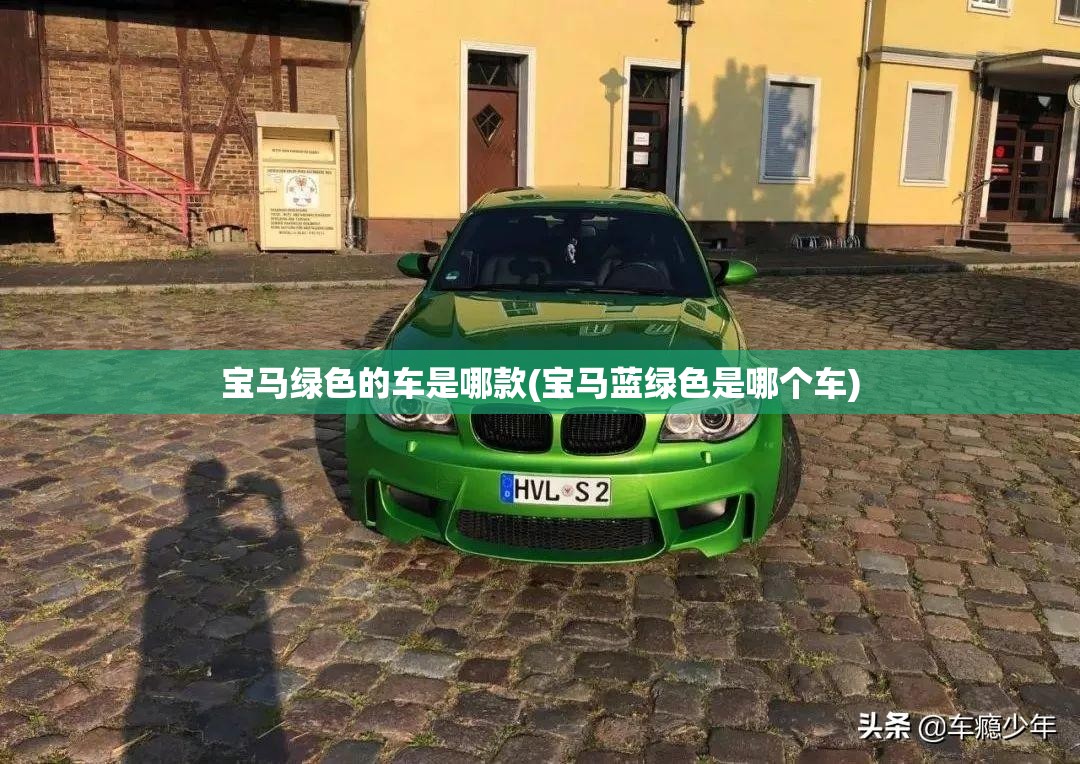 宝马绿色的车是哪款(宝马蓝绿色是哪个车)