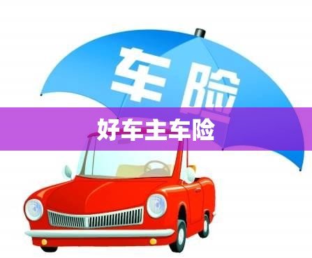 好车主车险/好车主怎么买车险 好车主车险/好车主怎么买车险