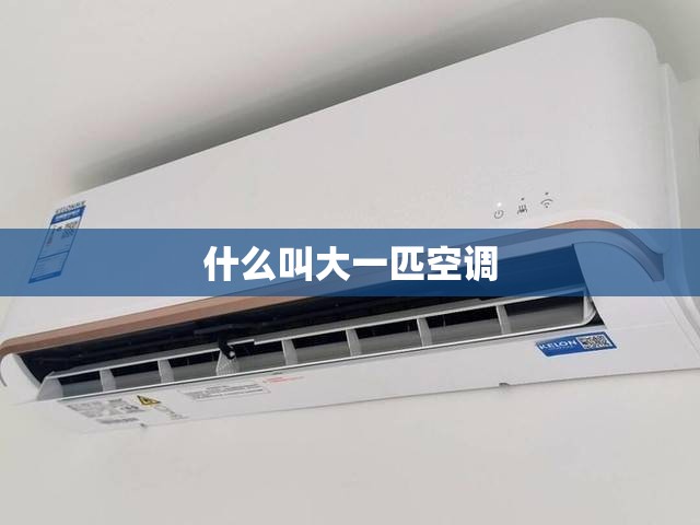 【什么叫大一匹空调,大一匹和15匹哪个好】