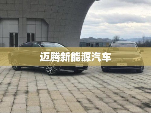 【迈腾新能源汽车,byd6座新能源汽车】