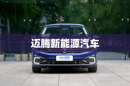 【迈腾新能源汽车,byd6座新能源汽车】