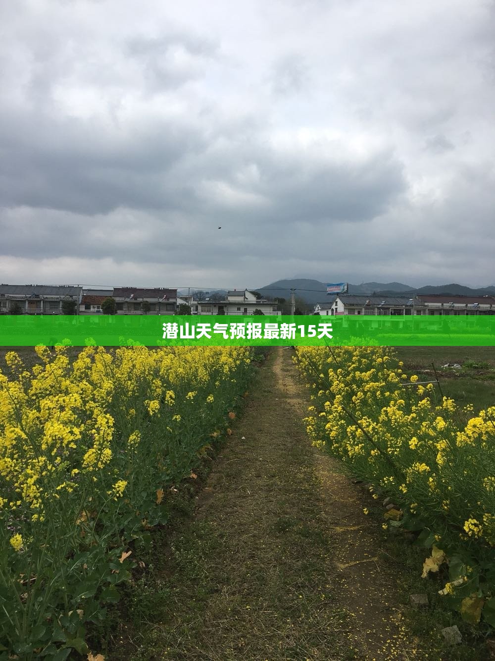 潜山天气预报最新15天(潜山天气预报30天查询)