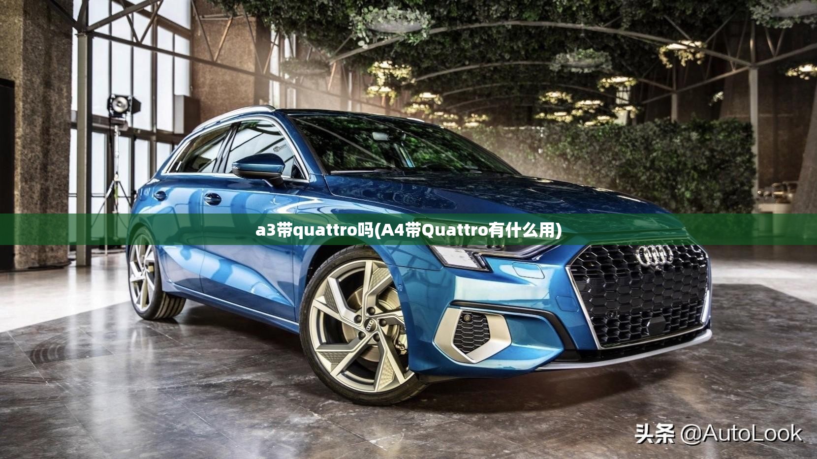 a3带quattro吗(A4带Quattro有什么用)