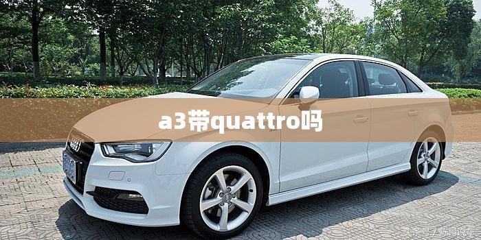 a3带quattro吗(A4带Quattro有什么用)