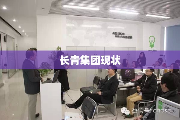 长青集团现状(长青集团现状如何) 长青集团现状(长青集团现状如何)