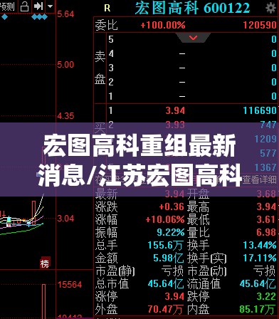 宏图高科重组最新消息/江苏宏图高科最新消息