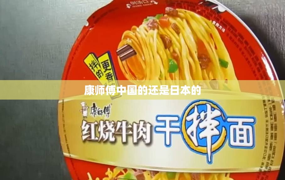 康师傅中国的还是日本的(康师傅是哪个国家品牌是日本的吗)