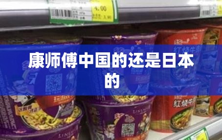 康师傅中国的还是日本的(康师傅是哪个国家品牌是日本的吗)