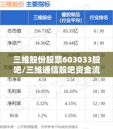 三维股份股票603033股吧/三维通信股吧资金流向 三维股份股票603033股吧/三维通信股吧资金流向