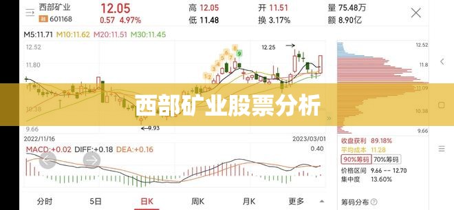 西部矿业股票分析/西部矿业股票费用走势