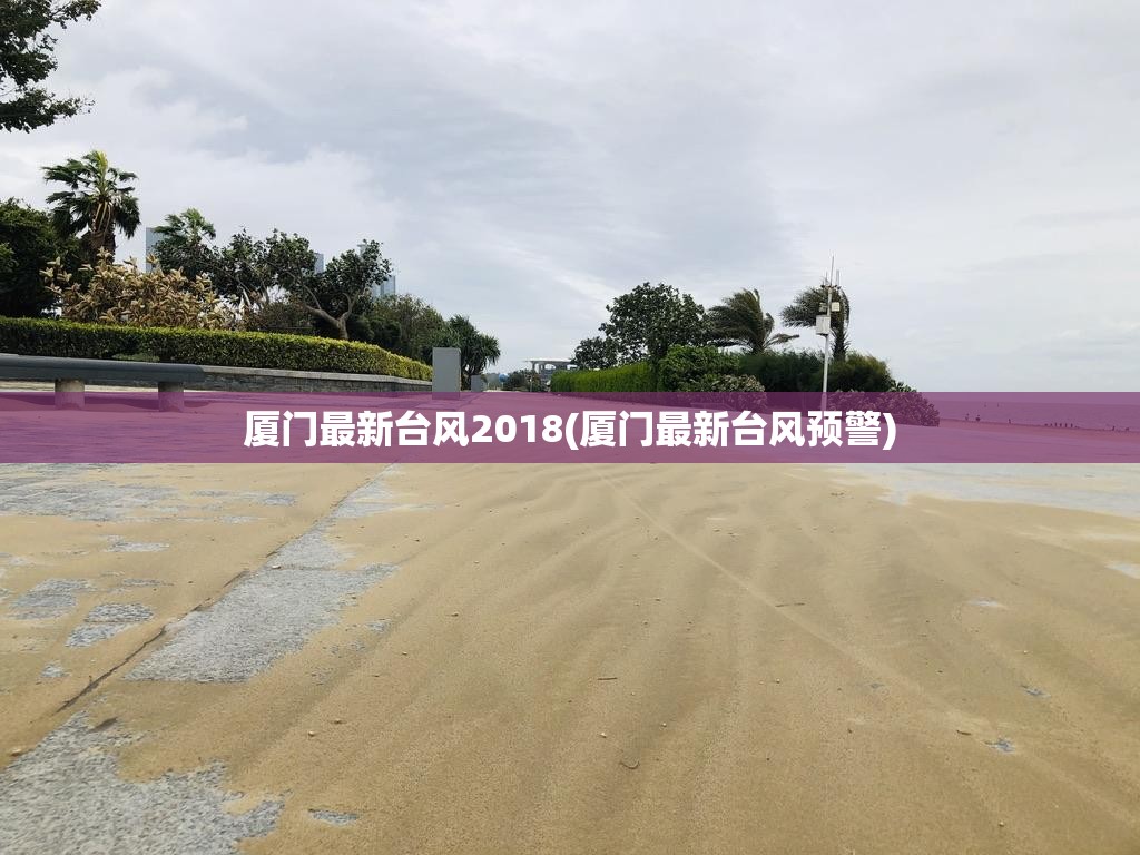 厦门最新台风2018(厦门最新台风预警)