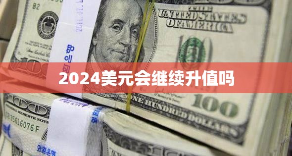 2024美元会继续升值吗(2024美元会继续跌还是涨呢)