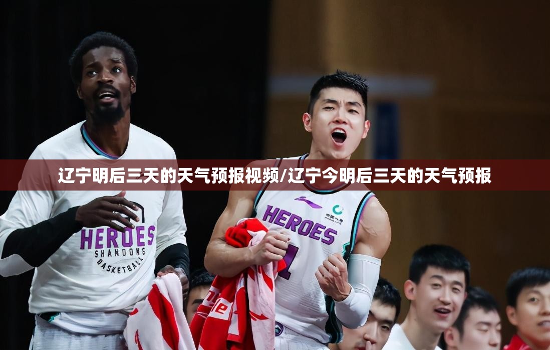 辽宁明后三天的天气预报视频/辽宁今明后三天的天气预报