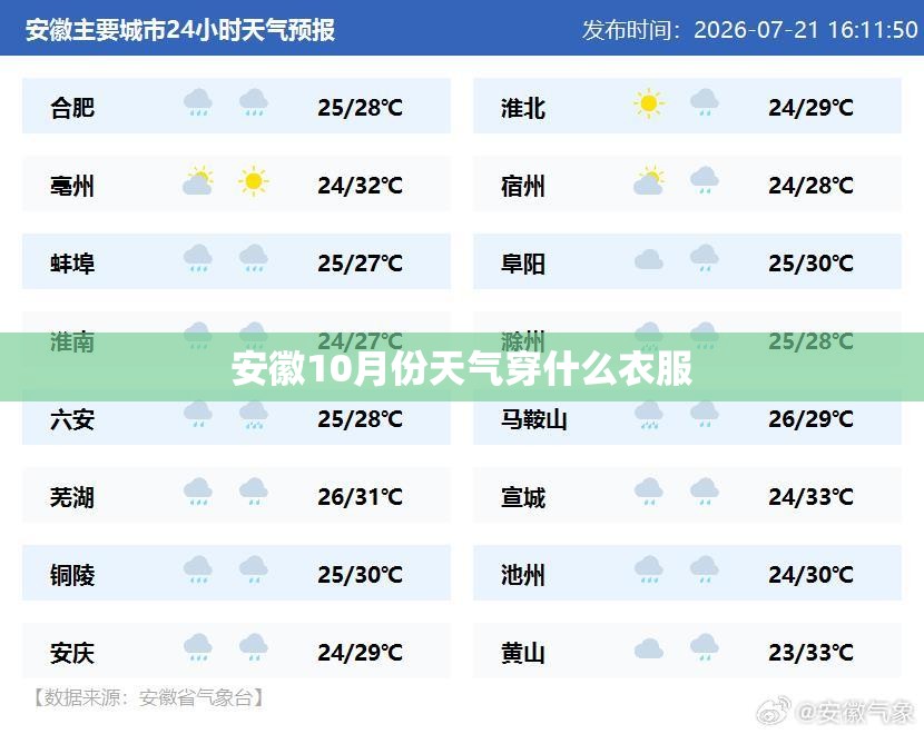 十代雅阁改色效果图(八代雅阁改色案例图片)