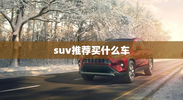 suv推荐买什么车(suv买什么车性价比高又省油)