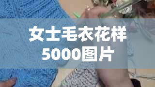 女士毛衣花样5000图片/女士毛衣花样5000图片例
