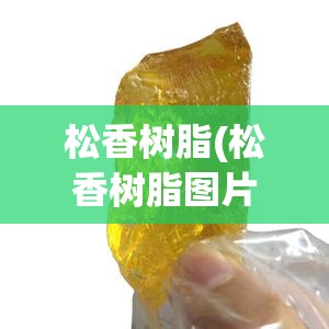 松香树脂(松香树脂图片) 松香树脂(松香树脂图片)