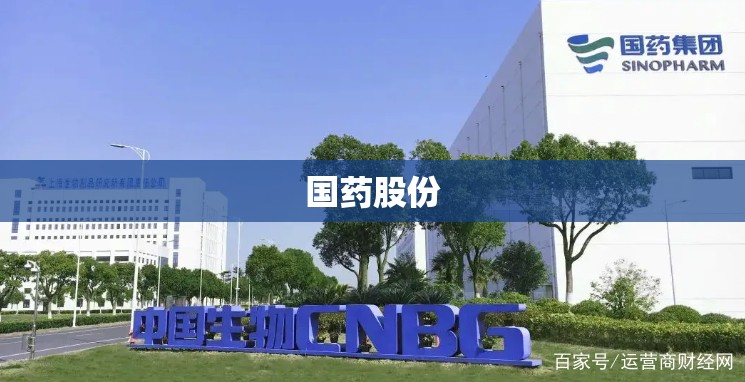 国药股份(国药股份股吧) 国药股份(国药股份股吧)