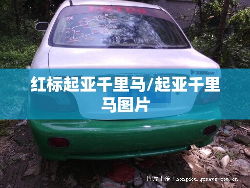 红标起亚千里马/起亚千里马图片 红标起亚千里马/起亚千里马图片