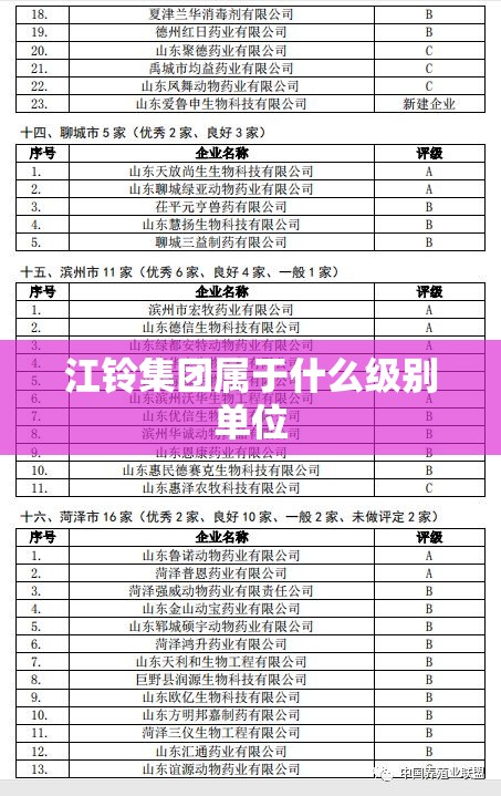 江铃集团属于什么级别单位(江铃集团一把手什么级别)