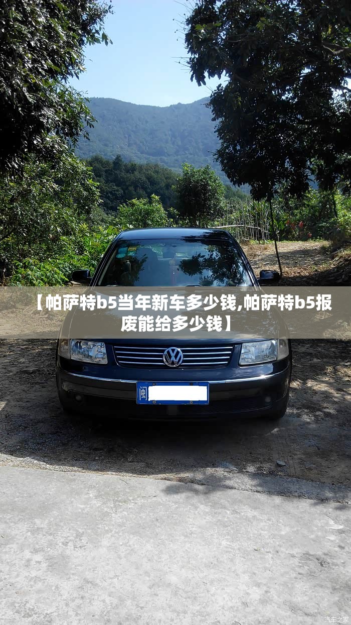 【帕萨特b5当年新车多少钱,帕萨特b5报废能给多少钱】