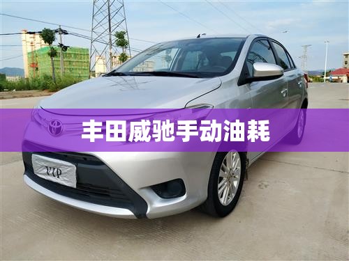 丰田威驰手动油耗(丰田威驰手动油耗高吗) 丰田威驰手动油耗(丰田威驰手动油耗高吗)