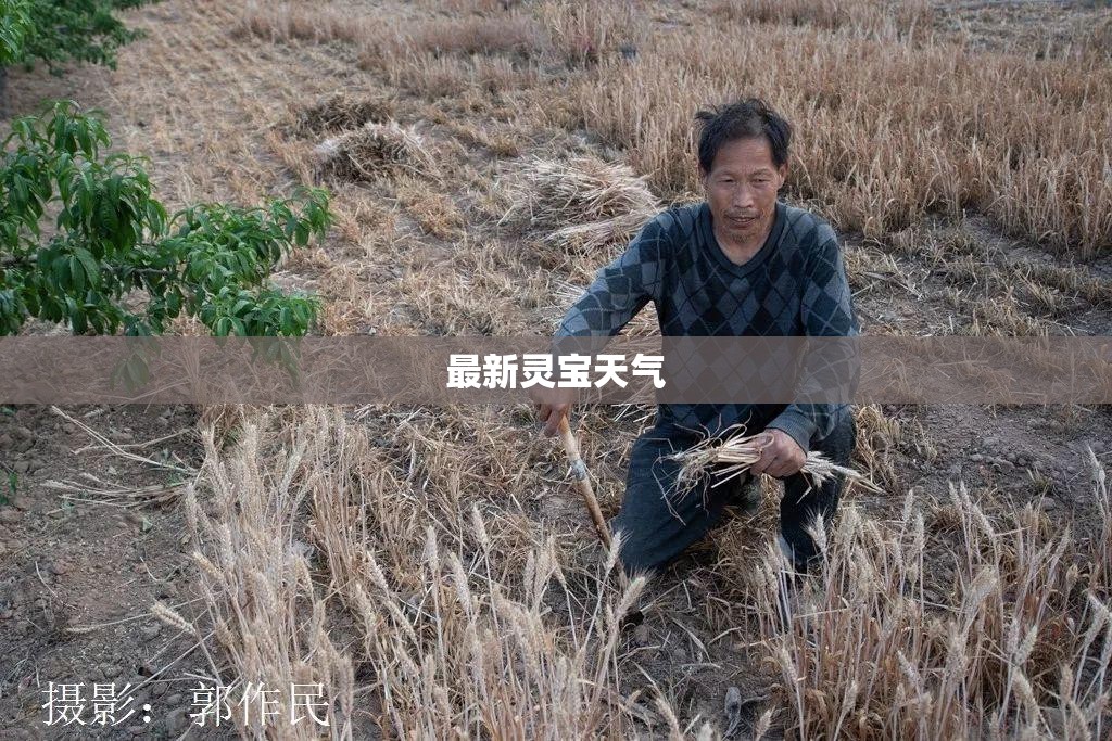 最新灵宝天气(灵宝天气最近一周天气预报)