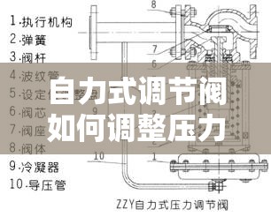【自力式调节阀如何调整压力,自力式调节阀如何调整压力高低】 【自力式调节阀如何调整压力,自力式调节阀如何调整压力高低】