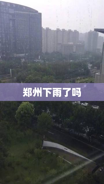 郑州下雨了吗(郑州下雨了吗最近) 郑州下雨了吗(郑州下雨了吗最近)